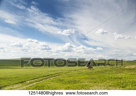 Stock Photograph - A horse and rider on the wide open grass fields; Ulaanbattar, Ulaanbaatar, Mongolia. Fotosearch