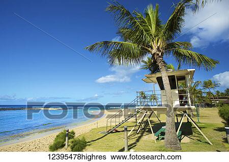 Stock Photograph - A lifeguarding station on a beach along the coastline of the Island of Hawaii. Fotosearch
