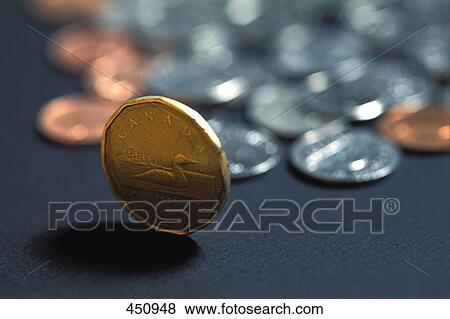 Stock Photo - A loonie stands. Fotosearch