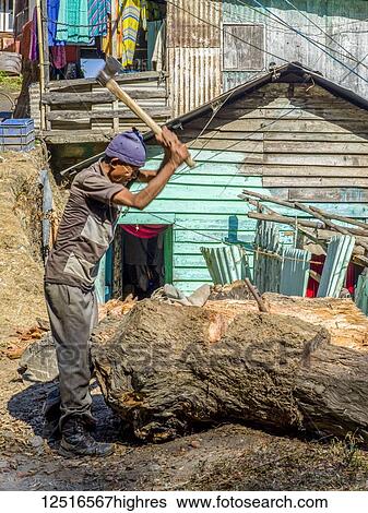 Stock Photograph - A man cuts bark off a tree stump with an axe; West Bengal, India. Fotosearch