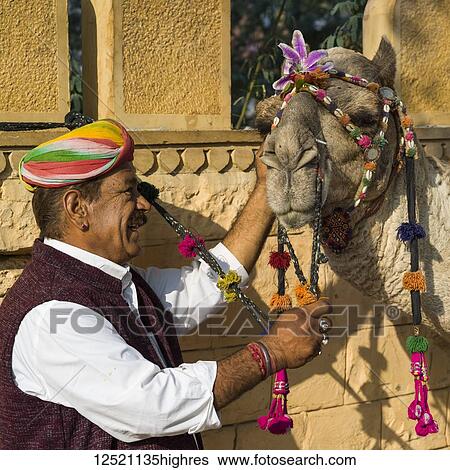 Stock Photograph - A man stands with his decorated camel; Jaisalmer, Rajasthan, India. Fotosearch