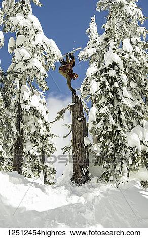 A professional snowboarder flips mid-air doing a Miller Flip in the snow-covered trees; British Columbia, Canada View Large Photo Image Stock Photograph - A professional snowboarder flips mid-air doing a Miller Flip in the snow-covered trees; British Columbia, Canada. Fotosearch