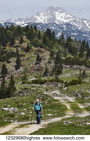 A Senior Man Hikes On A Trail With The Kamniksavinja Alps In The Distance; Slovenia View Large Photo Image Stock Photograph - A Senior Man Hikes On A Trail With The Kamniksavinja Alps In The Distance; Slovenia. Fotosearch