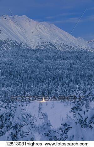 Stock Photograph - A small Black Spruce (Picea Mariana) tree covered in fresh snow is illuminated by colourful string lights, Kenai Peninsula, South-central Alaska; Alaska, United States of America. Fotosearch