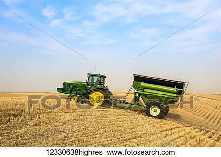 Stock Photograph - A Tractor Pulling A Grain Cart On The Harvested Grain Fields In The Palouse Region Of Washington; Washington, United States Of America. Fotosearch