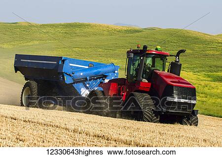Stock Photograph - A Tractor Pulls A Grain Cart Across A Harvested Grain Field With A Green Field In The Background; Washington, United States Of America. Fotosearch