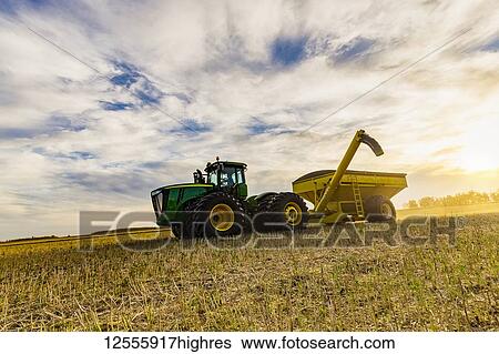 A tractor with a grain cart waiting for the next load from a canola harvest; Legal, Alberta, Canada View Large Photo Image Stock Photograph - A tractor with a grain cart waiting for the next load from a canola harvest; Legal, Alberta, Canada. Fotosearch