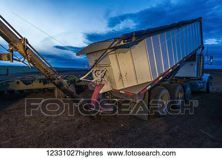 A Transport Truck Tipped On A Farm Field A Dusk; Washington, United States Of America View Large Photo Image Stock Photograph - A Transport Truck Tipped On A Farm Field A Dusk; Washington, United States Of America. Fotosearch