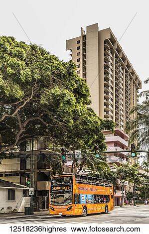 Stock Photograph - A Waikiki pink line trolley rolls down Kuhio Avenue near the intersection with Launiu Street; Honolulu, Oahu, Hawaii, United States of America. Fotosearch