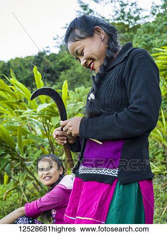 Stock Photograph - A woman of Indian ethnicity standing and using a curved blade; Sikkim, India. Fotosearch