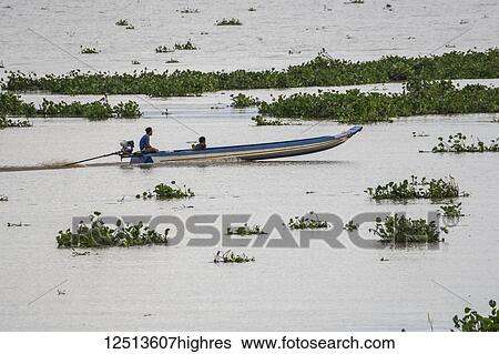 A young man in a motorboat on the Tonle Sap; Siem Reap, Cambodia View Large Photo Image Stock Photograph - A young man in a motorboat on the Tonle Sap; Siem Reap, Cambodia. Fotosearch
