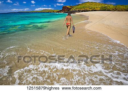 A young woman in a bikini with snorkelling equipment, Kawakiu Nui Beach on Molokai's West end; Molokai, Hawaii, United States of America View Large Photo Image Stock Photograph - A young woman in a bikini with snorkelling equipment, Kawakiu Nui Beach on Molokai's West end; Molokai, Hawaii, United States of America. Fotosearch