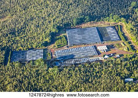 Stock Photograph - Aerial view of anthurium nursery shade cloth near Hilo; Island of Hawaii, Hawaii, United States of America. Fotosearch