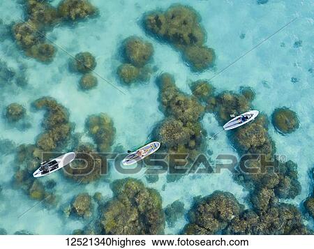 Aerial view of people on stand up paddle boards over the reef on Piti Bay, Mariana Islands; Asan, Guam, Micronesia View Large Photo Image Stock Photograph - Aerial view of people on stand up paddle boards over the reef on Piti Bay, Mariana Islands; Asan, Guam, Micronesia. Fotosearch