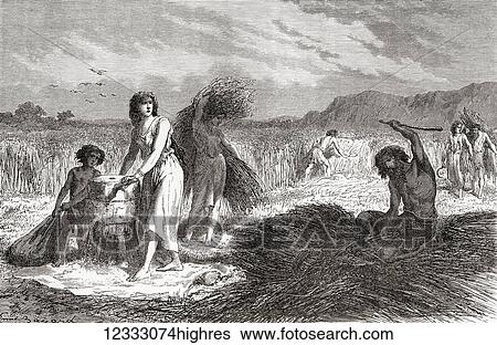 Agriculture during the Iron Age. From L'Homme Primitif, published 1870. View Large Photo Image Stock Photograph - Agriculture during the Iron Age. From L'Homme Primitif, published 1870.. Fotosearch