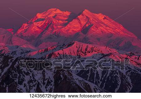 Alpenglow shines on Denali at sunrise, viewed from a ridge near Polychrome Mountain in Denali National Park; Alaska, United States of America View Large Photo Image Stock Photograph - Alpenglow shines on Denali at sunrise, viewed from a ridge near Polychrome Mountain in Denali National Park; Alaska, United States of America. Fotosearch