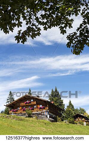 Alpine chalet on grassy hillside with blue sky and clouds framed by tree branches with leaves; Grainau, Bavaria, Germany View Large Photo Image Stock Photograph - Alpine chalet on grassy hillside with blue sky and clouds framed by tree branches with leaves; Grainau, Bavaria, Germany. Fotosearch