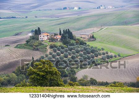 Stock Photograph - An Idyllic Tuscany Landscape With Rolling Green Hills, Small Olive Grove And Stone Private Villas Near Castiglione D'orcia; Tuscany, Italy. Fotosearch