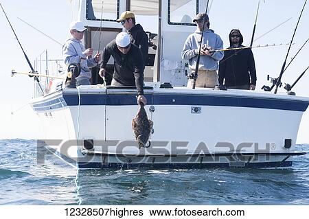 Stock Photograph - Angler hauling up a fresh caught halibut into a boat, Kachemak Bay, South-central Alaska; Alaska, United States of America. Fotosearch