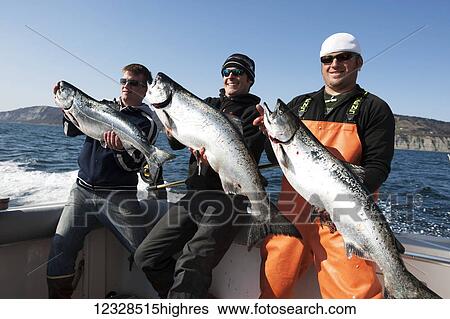 Anglers pose with their salmon catch on an ocean charter, Kachemak Bay, South-central Alaska; Homer, Alaska, United States of America View Large Photo Image Stock Photograph - Anglers pose with their salmon catch on an ocean charter, Kachemak Bay, South-central Alaska; Homer, Alaska, United States of America. Fotosearch