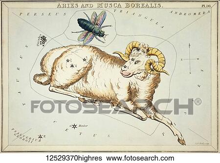 Aries and Musca Borealis. Card Number 16 from Urania's Mirror, or A View of the Heavens, one of a set of 32 astronomical star chart cards engraved by Sidney Hall and publshed 1824. View Large Photo Image Stock Photograph - Aries and Musca Borealis. Card Number 16 from Urania's Mirror, or A View of the Heavens, one of a set of 32 astronomical star chart cards engraved by Sidney Hall and publshed 1824.. Fotosearch