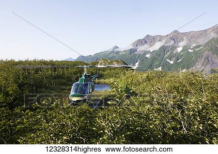 Stock Photograph - Bell Jet Ranger Iii Helicopter Landing In Kachemak Bay State Park, Southcentral Alaska, USA. Fotosearch