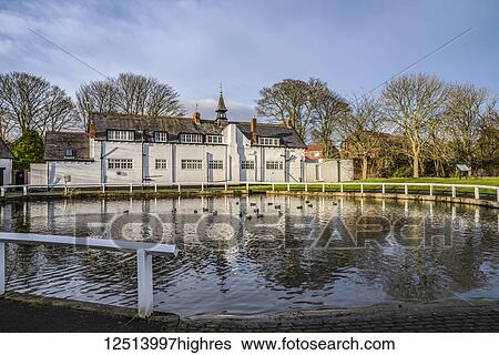 Stock Photograph - Birds on a village pond in the Northeast of England; Whitburn, Tyne and Wear, England. Fotosearch
