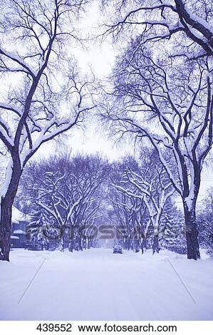 Stock Image - Blanketed street. Fotosearch