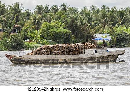 Stock Photograph - Boat laden with coconuts in the Mekong River; Ben Tre, Vietnam. Fotosearch