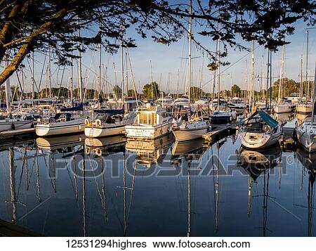 Stock Photograph - Boats mooring in a harbour; Chichester, Sussex, England. Fotosearch