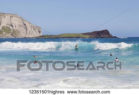 Bodyboarders catching waves at Makapu'u Beach; Waimanalo, Oahu, Hawaii, United States of America View Large Photo Image Stock Photograph - Bodyboarders catching waves at Makapu'u Beach; Waimanalo, Oahu, Hawaii, United States of America. Fotosearch