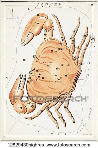 Cancer. Card Number 19 from Urania's Mirror, or A View of the Heavens, one of a set of 32 astronomical star chart cards engraved by Sidney Hall and publshed 1824. View Large Photo Image Stock Photograph - Cancer. Card Number 19 from Urania's Mirror, or A View of the Heavens, one of a set of 32 astronomical star chart cards engraved by Sidney Hall and publshed 1824.. Fotosearch