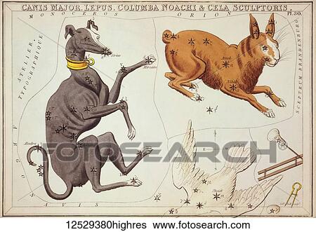 Stock Photograph - Canis Major, Lepus, Columba Noachi & Cela Sculptoris. Card Number 30 from Urania's Mirror, or A View of the Heavens, one of a set of 32 astronomical star chart cards engraved by Sidney Hall and publshed 1824.. Fotosearch