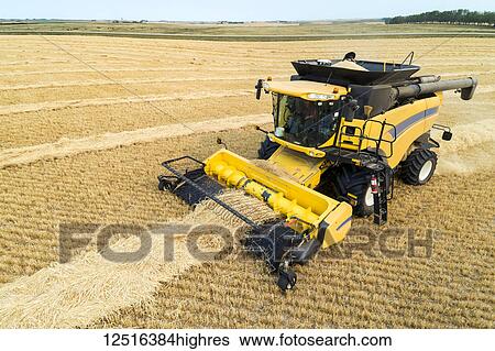 Close-up of a combine collecting lines of cut grain; Beiseker, Alberta, Canada View Large Photo Image Stock Photograph - Close-up of a combine collecting lines of cut grain; Beiseker, Alberta, Canada. Fotosearch