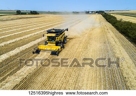 Close-up of a combine collecting lines of cut grain; Beiseker, Alberta, Canada View Large Photo Image Stock Photograph - Close-up of a combine collecting lines of cut grain; Beiseker, Alberta, Canada. Fotosearch