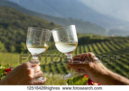 Close-up of a couple's hands holding white wine glasses together with vineyard in the background; Trento, Trento, Italy View Large Photo Image Stock Photograph - Close-up of a couple's hands holding white wine glasses together with vineyard in the background; Trento, Trento, Italy. Fotosearch