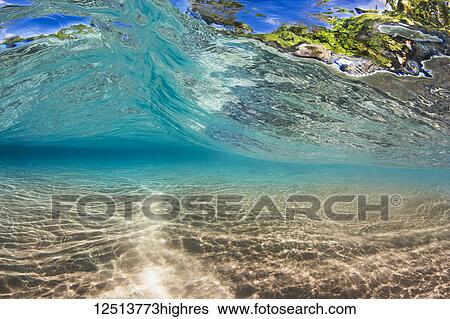 Stock Photograph - Coastline foliage can be seen through a small wave as it passes over a shallow sandy bottom off the island of Maui; Maui, Hawaii, United States of America. Fotosearch