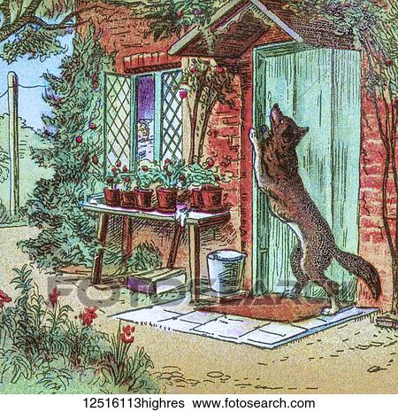 Coloured illustration in a child's storybook, Little Red Riding Hood, with the big bad wolf at the door of Grandmother's house View Large Photo Image Stock Photograph - Coloured illustration in a child's storybook, Little Red Riding Hood, with the big bad wolf at the door of Grandmother's house. Fotosearch