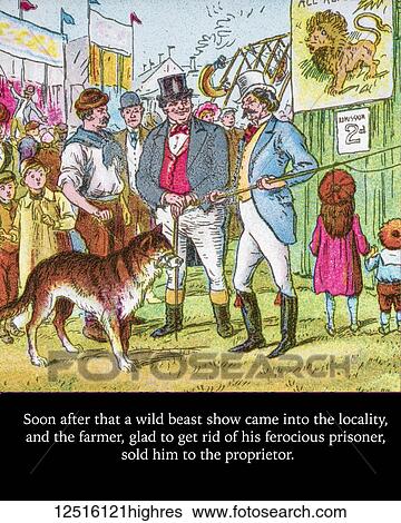 Coloured page of an illustration and storyline to a child's storybook, Little Red Riding Hood, with the big bad wolf being sold by the farmer to a proprietor View Large Photo Image Stock Photograph - Coloured page of an illustration and storyline to a child's storybook, Little Red Riding Hood, with the big bad wolf being sold by the farmer to a proprietor. Fotosearch