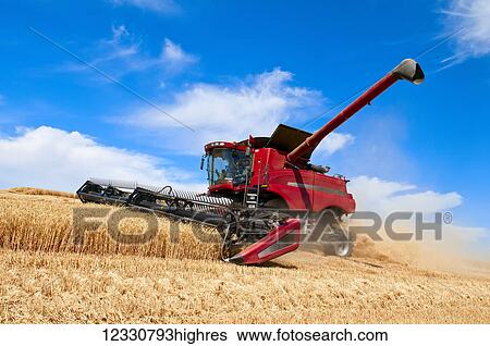 Stock Photograph - Combine Harvesting Grain On The Hills In The Palouse Region Of Eastern Washington; Washington, United States Of America. Fotosearch