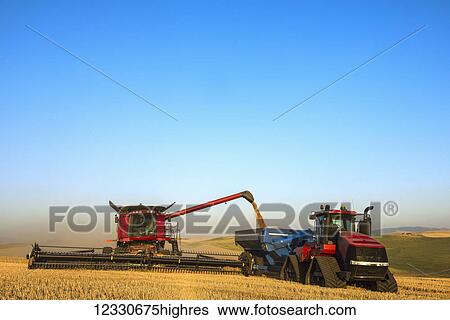 Combine Offloading Grain To A Tractor Pulled Grain Cart In Southeast Washington; Washington, United States Of America View Large Photo Image Stock Photograph - Combine Offloading Grain To A Tractor Pulled Grain Cart In Southeast Washington; Washington, United States Of America. Fotosearch