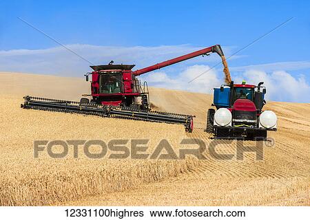 Combine Offloading Grain To A Tractor Pulled Grain Cart In Southeast Washington; Washington, United States Of America View Large Photo Image Stock Photograph - Combine Offloading Grain To A Tractor Pulled Grain Cart In Southeast Washington; Washington, United States Of America. Fotosearch