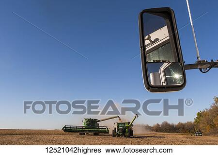 Combine offloading soybeans into a grain wagon during harvest, near Nerstrand; Minnesota, United States of America View Large Photo Image Stock Photograph - Combine offloading soybeans into a grain wagon during harvest, near Nerstrand; Minnesota, United States of America. Fotosearch