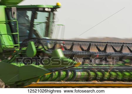 Stock Photograph - Combine picking beans during soybean harvest; Minnesota, United States of America. Fotosearch