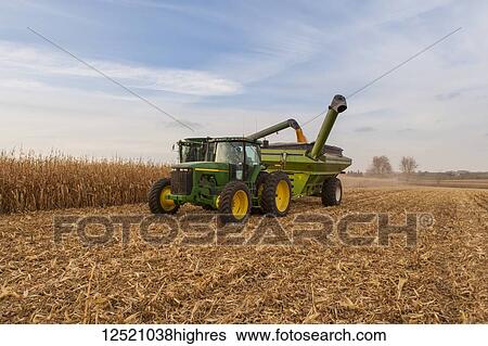 Stock Photograph - Combine unloads into a grain wagon during corn harvest, near Nerstrand; Minnesota, United States of America. Fotosearch