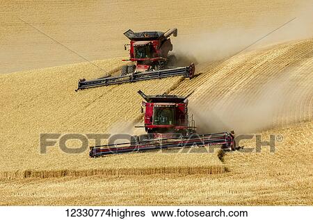 Combines Harvesting Grain In The Palouse Region Of Eastern Washington At Dusk; Washington, United States Of America View Large Photo Image Stock Photograph - Combines Harvesting Grain In The Palouse Region Of Eastern Washington At Dusk; Washington, United States Of America. Fotosearch