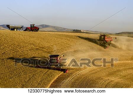 Combines Harvesting Grain In The Palouse Region Of Eastern Washington; Washington, United States Of America View Large Photo Image Stock Photograph - Combines Harvesting Grain In The Palouse Region Of Eastern Washington; Washington, United States Of America. Fotosearch