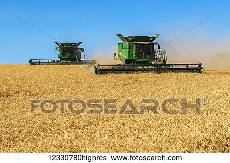 Combines Harvesting Grain In The Palouse Region Of Eastern Washington; Washington, United States Of America View Large Photo Image Stock Photograph - Combines Harvesting Grain In The Palouse Region Of Eastern Washington; Washington, United States Of America. Fotosearch