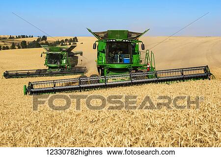 Stock Photograph - Combines Harvesting Grain In The Palouse Region Of Eastern Washington; Washington, United States Of America. Fotosearch