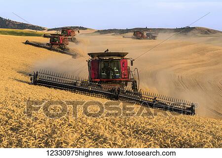 Stock Photograph - Combines Harvesting Grain In The Palouse Region Of Eastern Washington; Washington, United States Of America. Fotosearch